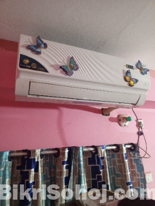 walton ইনভার্টার এসি ভয়েস কন্ট্রোল